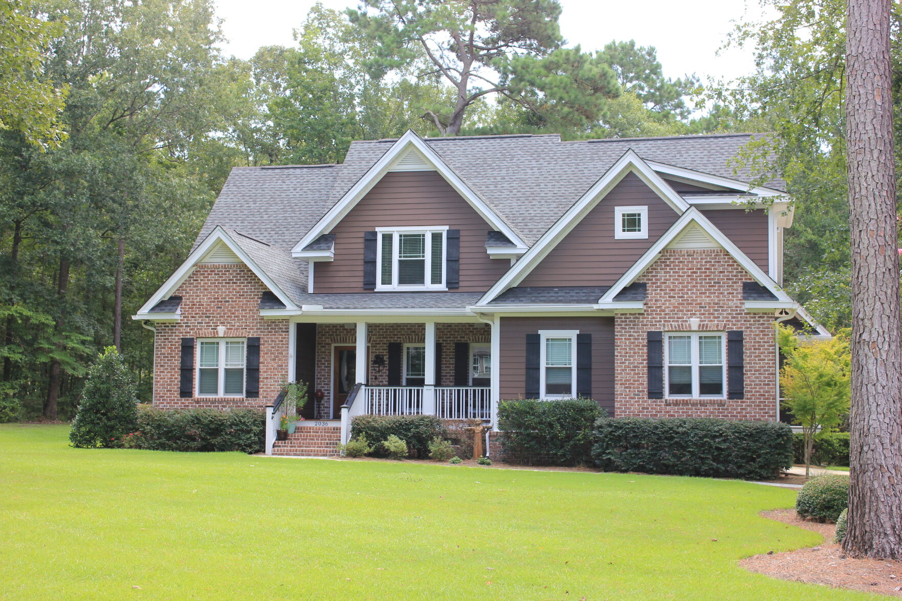 Carolina Bay Brick